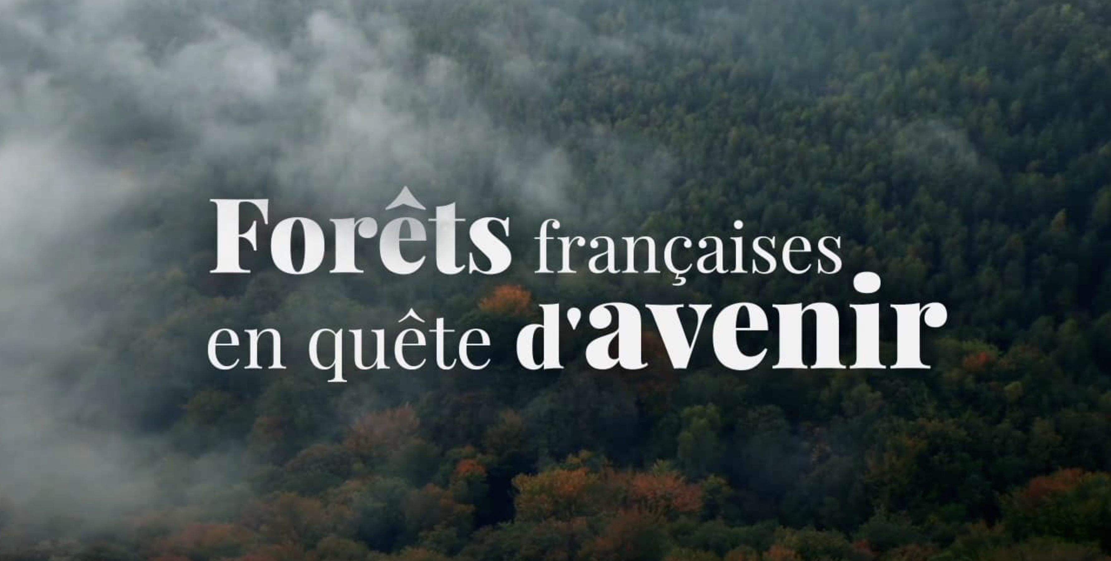 Capture d’écran 2022-03-26 à 11.25.14