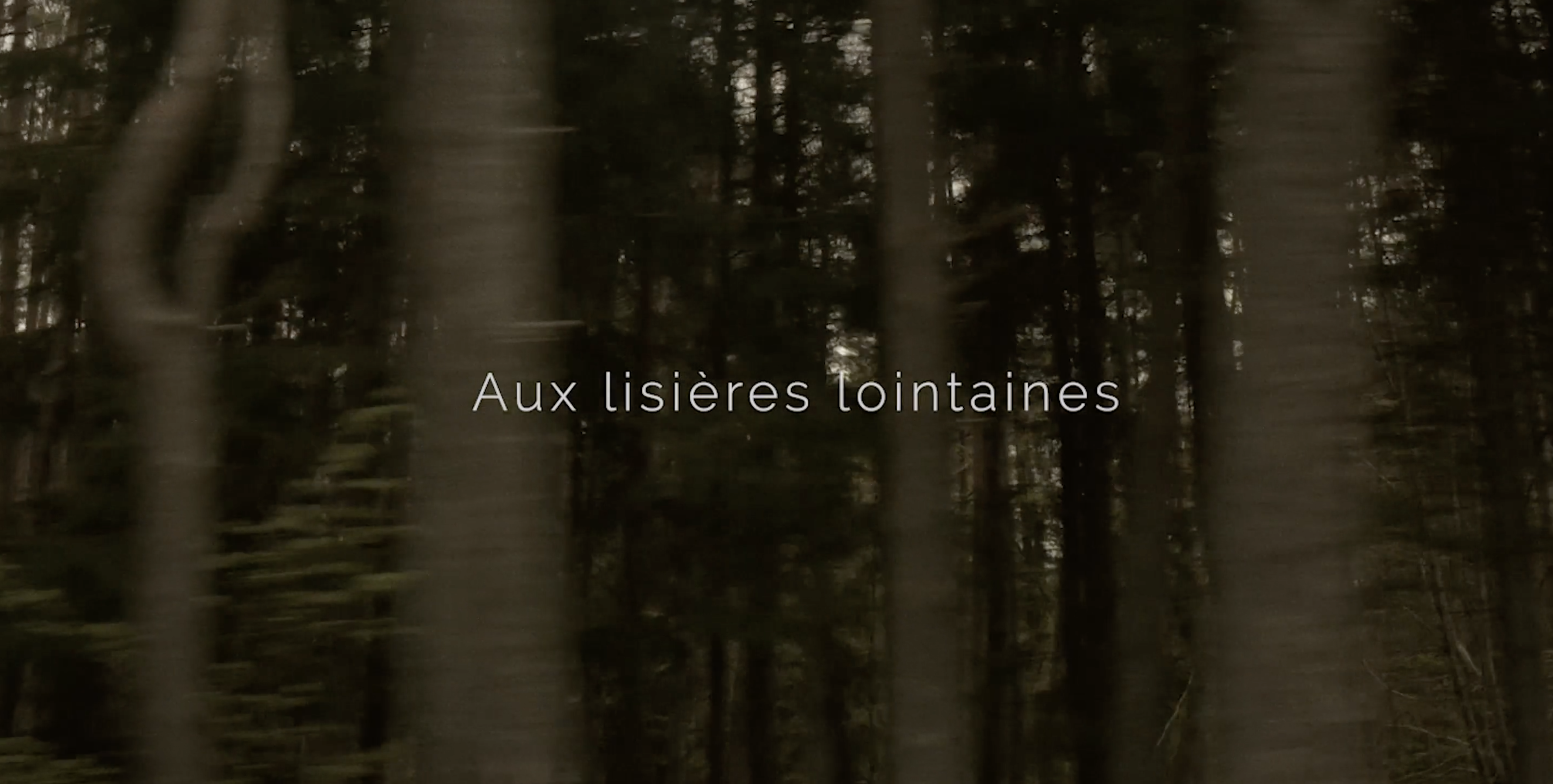 Capture d’écran 2022-03-26 à 11.31.26